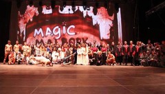 Magic Malbork 2014