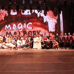 Magic Malbork 2014