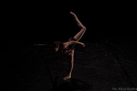 mega-show-2014_016
