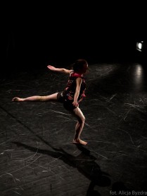 mega-show-2014_059