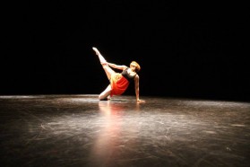 mega-show-lecture-2014_048